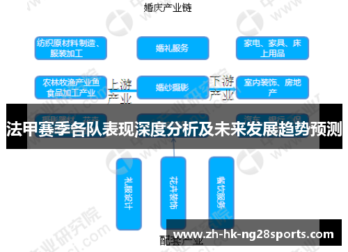 法甲赛季各队表现深度分析及未来发展趋势预测