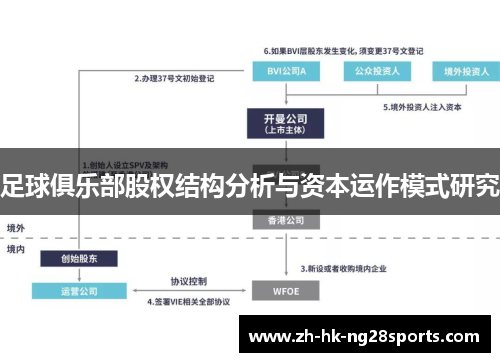 足球俱乐部股权结构分析与资本运作模式研究