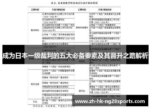 成为日本一级裁判的五大必备要素及其晋升之路解析