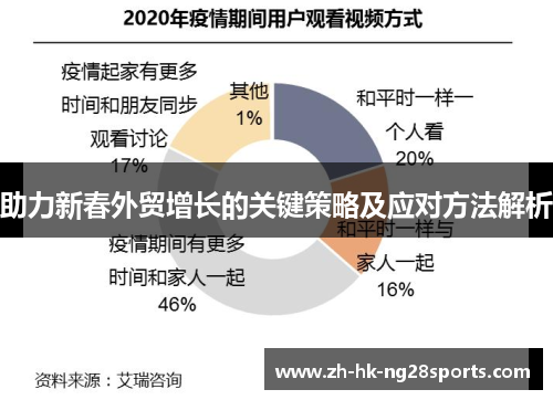 助力新春外贸增长的关键策略及应对方法解析