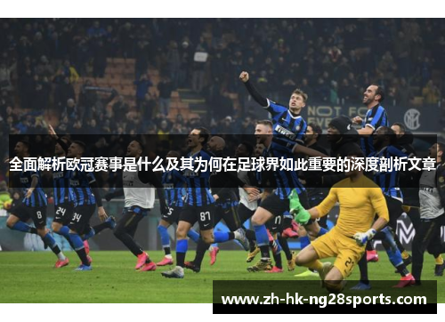 全面解析欧冠赛事是什么及其为何在足球界如此重要的深度剖析文章